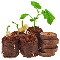 Krążki torfowe pęczniejące 10 szt.